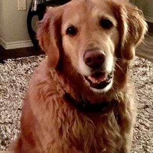 Meet your Posher, Susan